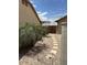Gravel backyard with landscaping at 8981 W Tuckey Ln, Glendale, AZ 85305