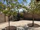 Beautifully landscaped backyard with a stone patio, desert landscaping, and ornamental trees at 8981 W Tuckey Ln, Glendale, AZ 85305