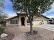Inviting single-story home with a well-manicured front yard, featuring a mature shade tree and lush landscaping at 8981 W Tuckey Ln, Glendale, AZ 85305