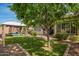 Backyard featuring a manicured lawn with a trampoline under a gazebo and privacy fencing at 10452 E Natal Ave, Mesa, AZ 85209