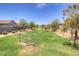 Community green space featuring a walking path, mature trees, manicured landscaping, and drainage area at 1123 E Meadowbrook Dr, Casa Grande, AZ 85122