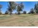 Picturesque view of a golf course with lush green fairways and mature trees under a clear blue sky at 1289 Leisure World --, Mesa, AZ 85206