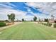 Scenic view of the golf course with lush green fairways, palm trees, and clear skies at 1289 Leisure World --, Mesa, AZ 85206