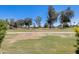 Scenic view of a lush golf course with mature trees and well-maintained green grass at 1289 Leisure World --, Mesa, AZ 85206