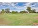 Lush green golf course landscape showcasing the well-maintained grounds at 1289 Leisure World --, Mesa, AZ 85206