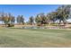 Picturesque golf course view with a serene pond, fountain, and lush green landscape at 1289 Leisure World --, Mesa, AZ 85206