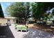 Spacious backyard featuring large trees, patio, and outdoor seating area at 17730 E Brooks Farm Rd, Gilbert, AZ 85298