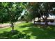 View of a lush backyard with a large lawn and mature trees, offering a serene and private outdoor space at 17730 E Brooks Farm Rd, Gilbert, AZ 85298
