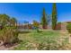 Green backyard featuring a trampoline, play structure, and green grass at 2247 E Ross Ave, Phoenix, AZ 85024
