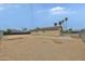 A large fenced backyard with palm trees and a dirt area, offering lots of potential at 2617 N 40Th Ave, Phoenix, AZ 85009