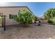 Spacious backyard with gravel landscaping, mature lemon tree, and house exterior view at 26249 N 68Th Ln, Peoria, AZ 85383