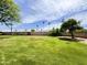 Spacious, manicured lawn with mature trees and desert landscaping at 2749 S Rita Ln, Tempe, AZ 85282