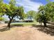 Expansive backyard with mature citrus trees and lush lawn at 2749 S Rita Ln, Tempe, AZ 85282