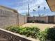 A desert landscaped backyard, with mature plants, block wall, and a partial view of mature palm trees at 2749 S Rita Ln, Tempe, AZ 85282