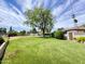Expansive backyard with lush lawn, mature shade tree, and desert landscaping at 2749 S Rita Ln, Tempe, AZ 85282