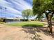Landscaped backyard featuring a swimming pool and mature trees at 2749 S Rita Ln, Tempe, AZ 85282