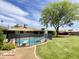 Well-maintained lawn with a pool, diving board, and mature landscaping at 2749 S Rita Ln, Tempe, AZ 85282