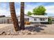 Charming single-story home with black and white trim, desert landscaping, and two large palm trees in front at 2914 W Marlette Ave, Phoenix, AZ 85017