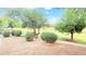 Scenic view of the neighborhood park with desert landscaping at 3402 N 300Th Dr, Buckeye, AZ 85396