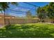 Backyard features a batting cage with an artificial grass field at 7018 E Ingram St, Mesa, AZ 85207