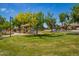 Community playground with green grass, mature trees, and covered seating area on a sunny day at 7018 E Ingram St, Mesa, AZ 85207