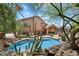 The private backyard includes a large pool, mature trees, and a covered patio for seamless indoor-outdoor living at 7438 E Glenn Moore Rd, Scottsdale, AZ 85255