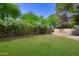 Expansive backyard features lush green grass, mature trees, and decorative fencing at 8228 S Stephanie Ln, Tempe, AZ 85284