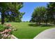 View of well maintained greenbelt park includes mature trees, sidewalk, and colorful flowering bushes at 8228 S Stephanie Ln, Tempe, AZ 85284