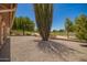 Expansive backyard featuring desert landscaping and views of the lush golf course at 9243 W Kimberly Way, Peoria, AZ 85382