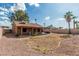 Large backyard with covered patio and landscaping with stone and palm trees at 1110 E Utopia Rd, Phoenix, AZ 85024