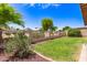 Backyard view of green grass and landscaping bordering the house, which is encircled with a dark metal fence at 11411 W Dana Ln, Avondale, AZ 85392