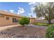 Landscaped back yard with drought tolerant plants, covered patio, and blue sky at 13414 E Cindy St, Chandler, AZ 85225