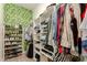 Well-organized walk-in closet with shelving and rods for ample storage, and bright leaf wallpaper at 19834 N Tammy St, Maricopa, AZ 85138