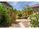 Serene backyard garden with a stone pathway, a wooden bench, and vibrant flowering shrubs at 21150 N Evergreen Dr, Maricopa, AZ 85138