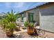 Inviting backyard patio with comfortable seating, desert landscaping and mature palms, perfect for relaxation at 21150 N Evergreen Dr, Maricopa, AZ 85138