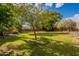 Serene backyard showcasing a lush green lawn, mature trees, and well-manicured landscaping at 2160 E Kenwood St, Mesa, AZ 85213