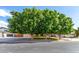 Charming home with mature trees, a well-maintained lawn, and a welcoming curb appeal at 3377 W Grandview Rd, Phoenix, AZ 85053