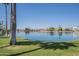 Beautiful view of a lake surrounded by lush green grass and palm trees at 3830 E Lakewood Pkwy # 1051, Phoenix, AZ 85048