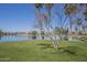 Scenic view of a serene lake bordered by lush green grass and mature palm trees at 3830 E Lakewood Pkwy # 1051, Phoenix, AZ 85048