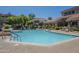 Large community pool surrounded by well-maintained landscaping and lounge chairs, ideal for relaxation and recreation at 3830 E Lakewood Pkwy # 1051, Phoenix, AZ 85048