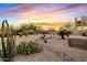 Desert backyard landscaping with cacti, stone accents, hot tub, and views at 4111 N Starry Pass Cir, Mesa, AZ 85207
