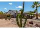 Front yard featuring cacti and drought-resistant landscaping at 5601 W Whitten St, Chandler, AZ 85226