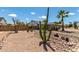 Landscaped front yard with drought-tolerant plants, rocks, and a soaring cactus at 5601 W Whitten St, Chandler, AZ 85226