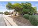 Inviting front yard showcasing mature trees, lush bushes, rock landscaping, and a partial view of the two-story home at 630 W Navarro Ave, Mesa, AZ 85210