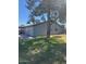 Spacious backyard with lush green grass, mature trees, and a covered patio for outdoor enjoyment at 696 W Shawnee Dr, Chandler, AZ 85225