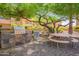 Outdoor barbecue area with built-in grill, picnic table, and shade trees at 8055 E Thomas Rd # C203, Scottsdale, AZ 85251