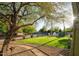 Expansive backyard with lush lawn, mature trees, and desert landscaping at 9035 W Villa Chula --, Peoria, AZ 85383