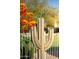 Unique cactus sculpture adding charm to the lush backyard landscaping at 9035 W Villa Chula --, Peoria, AZ 85383