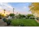 Expansive backyard showcasing lush greenery, mature trees, and a view of the neighborhood at 9035 W Villa Chula --, Peoria, AZ 85383