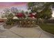 Entertainer's backyard with a built-in BBQ, bar seating, mature trees, and lovely twilight views at 9517 E Minton St, Mesa, AZ 85207